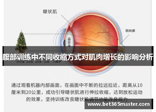 腹部训练中不同收缩方式对肌肉增长的影响分析